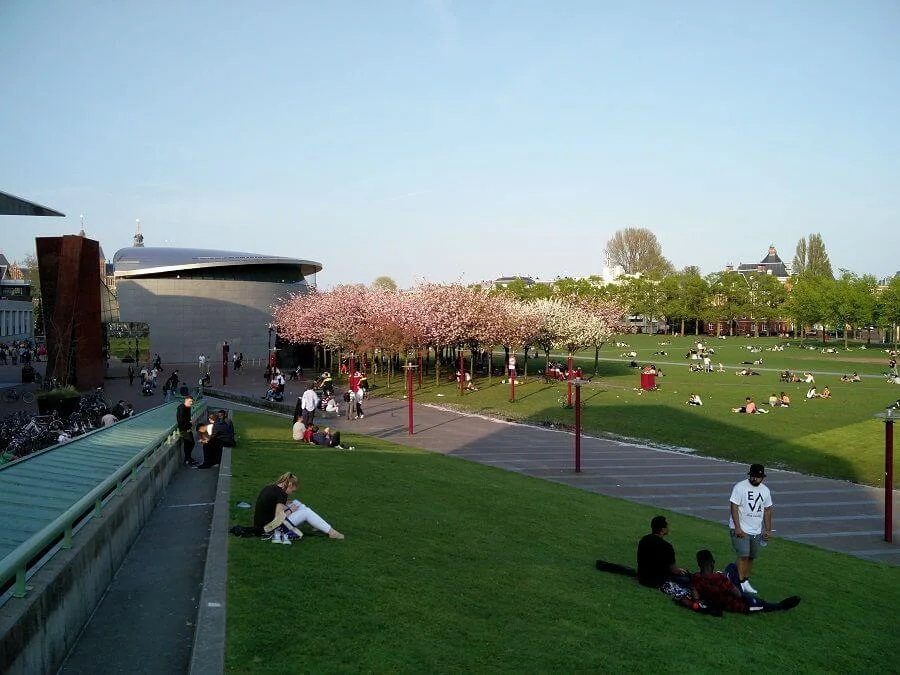 The lawn at Museumplein, with blossom trees and the Van Gogh Museum’s oval wing behind